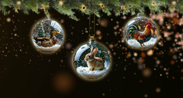 Портал «Подворье» акция: С Новым Годом!